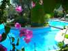 Zeytinada Hotel 